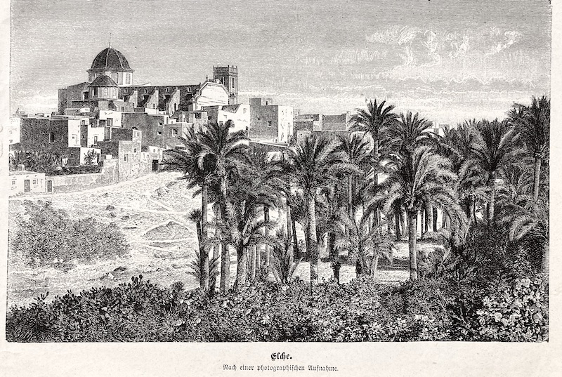 Elche